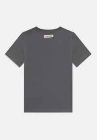 Szara koszulka z krótkim rękawem i okrągłym dekoltem. Posiada metkę z napisem "Calvin Klein" w okolicy tylnego dekoltu. Wykonana z miękkiego materiału, standardowy krój.