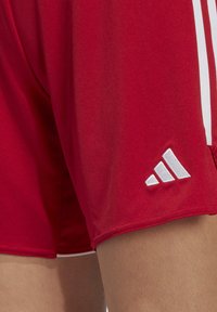 Rode sportieve shorts gemaakt van gladde stof, met witte zijkanten en een witte logodetail. De zoom is met een lichte curve gestikt.