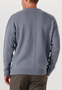 Hellblauer, gestrickter Pullover mit geripptem Saum und Bündchen, der eine zentrale Nahtdetails an der Rückseite und einen klassischen Rundhalsausschnitt aufweist.