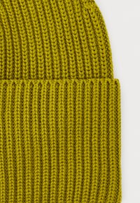 Knit beanie in bright green, featuring textured ribbed pattern and a folded cuff. Made of soft yarn for warmth and comfort.