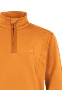 Pomarańczowy pulower z wysokim kołnierzem, wyposażony w ćwierć zamek błyskawiczny oraz wypukłe logo. Wykonany z gładkiego, elastycznego materiału o dopasowanym kroju.
