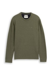 Bluza z długim rękawem w kolorze oliwkowej zieleni, z okrągłym dekoltem, ściągaczami na mankietach i u dołu, z subtelnym logo na piersi.