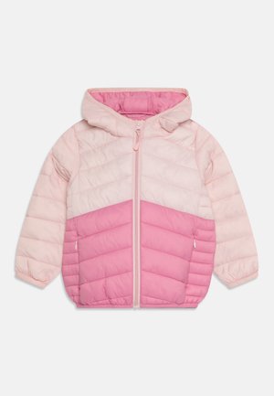 FASHION COAT - Winter jacket - pink mix