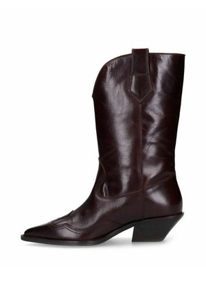 Donkerbruine leren cowboylaars tot halverwege de kuit met een puntige neus, schuine blokhak en decoratieve stiksels op het bovenwerk.