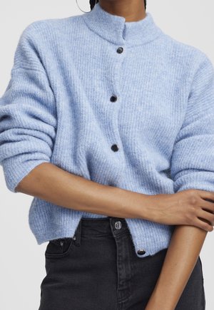 Personne portant un pull duveteux bleu clair boutonné avec les manches retroussées et un pantalon noir, avec un bras croisé sur l’autre.