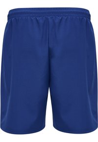 Blå idrottsshorts tillverkade av mjukt, lättviktigt tyg. Har en elastisk midja och inga synliga fickor eller ytterligare detaljer.