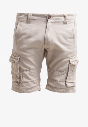 Gestreiftes blau-weißes Kurzarmhemd, beige Cargo-Shorts, marineblaue Slipper und ein brauner Rucksack mit blauen Akzenten.
