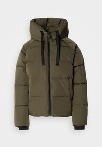 SHORT JACKET - Winter jacket - forest night