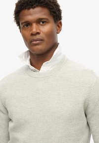 Superdry & Co TEXTURED CREW - Trui - light grey heather