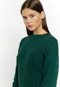 Maglione verde a maglia intrecciata con scollo rotondo, caratterizzato da motivi testurizzati e maniche lunghe, realizzato in un materiale a maglia spesso e morbido.