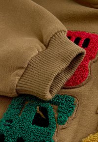 Brown knit sweater sleeve featuring ribbed cuffs and textured embroidered designs in red and green shapes. Soft, casual fabric.