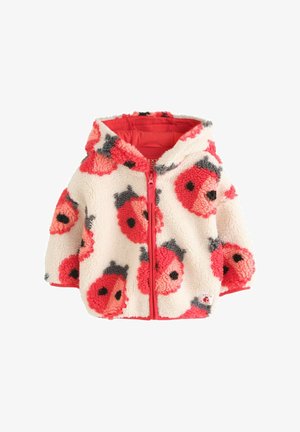 Next, Winterjacke - cream ladybird