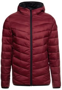 Červená prošívaná bunda s kapucí, vybavená zipovým uzávěrem a designem ve tvaru šípu. Vyrobeno z hladkého, lesklého materiálu s černými akcenty.