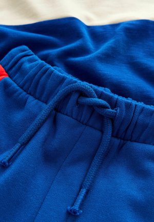 Next LONG SLEEVE SOFT TOUCH  AND JOGGERS SET  - REGULAR FIT - Survêtement - multi dino spikes