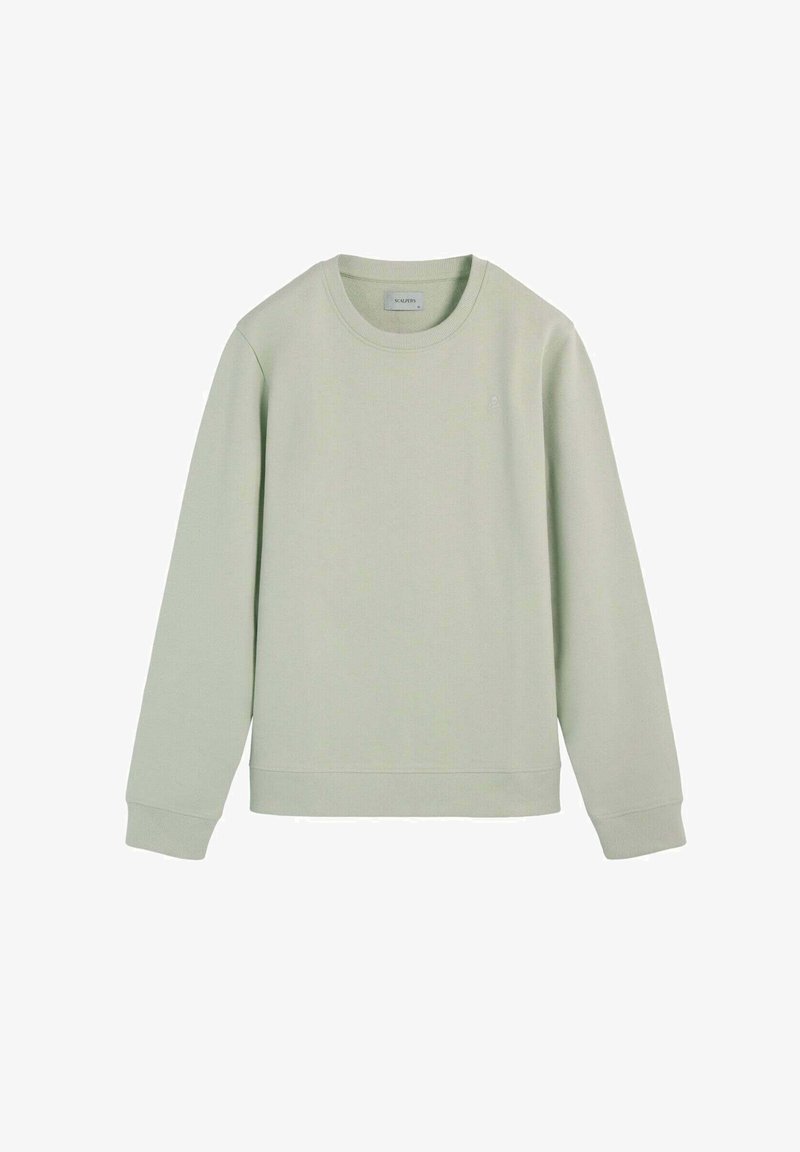 Sweat-shirt vert clair avec un col rond et des manches longues. Confectionné dans un tissu doux, il présente un ourlet et des poignets côtelés. Design simple, sans motifs.