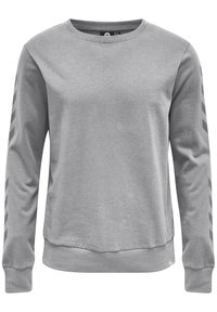 Szara bluza z długimi rękawami, okrągłym dekoltem, prążkowanymi mankietami i pasem na dole. Na rękawach znajdują się ukośne paski w ciemniejszym odcieniu. Gładka tekstura.