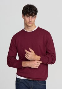 Felpa bordeaux a girocollo con maniche lunghe, polsini e orlo a coste, indossata sopra una camicia bianca, realizzata in un tessuto liscio e morbido.