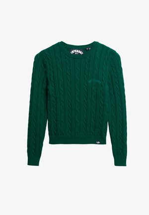 Jersey de punto verde con patrón de trenzas, cuello redondo, puños y dobladillo acanalados, con una pequeña etiqueta de logo cerca del dobladillo inferior.