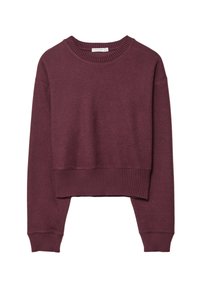 Maglione corto a maniche lunghe color marrone con scollatura a girocollo a coste, polsini e orlo, posato su uno sfondo bianco.