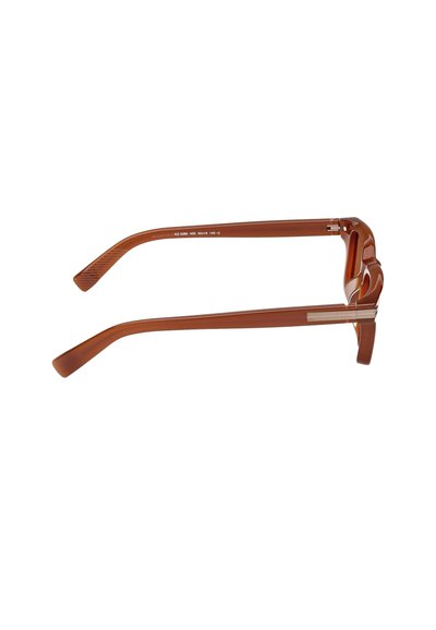 Brown plastic eyeglass frames with curved temples, a textured finish on the arms, and a silver accent detail near the hinge.