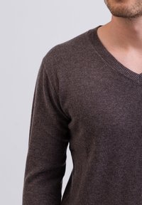 CASH-MERE V-AUSSCHNITT - Maglione - taupe melange
