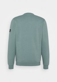 Lichtgroene sweatshirt met lange mouwen, een ronde halslijn en geribbelde manchetten. Kenmerkend is een merkpatch op de linker mouw. Soepele textuur.