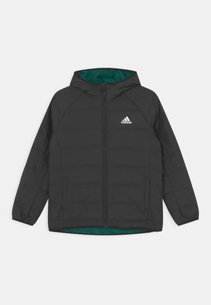Veste matelassée noire Adidas avec capuche, fermeture éclair avant, poches latérales et doublure verte, présentée à plat sur un fond blanc.