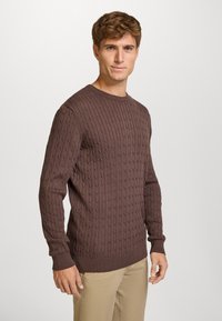 Brązowy sweter z dzianiny warkoczowej z okrągłym dekoltem i ściągaczami, ozdobiony teksturowanym wzorem. Noszony z beżowymi spodniami.