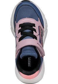Geox J LOFTUS - Scarpe primi passi - avio dark rose