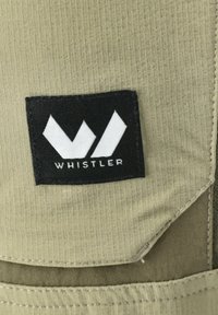 Whistler KODIAK - Ulkohousut - tarmac