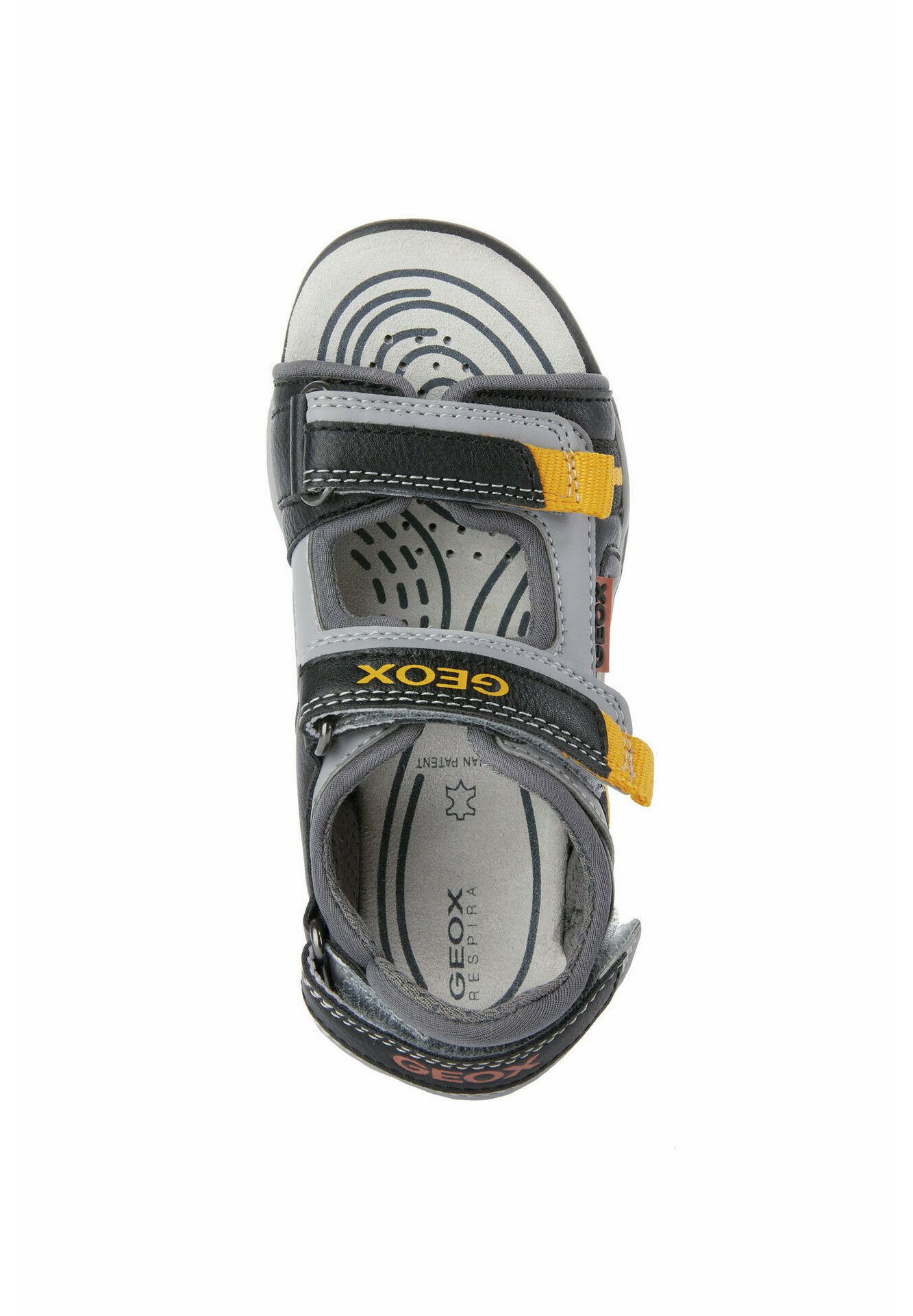 Geox BOREALIS - Sandali da trekking - grau/grigio - Zalando