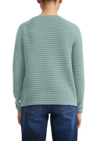 Pull en maille côtelée vert clair à manches longues et col rond, présenté de dos, associé à un jean bleu foncé.