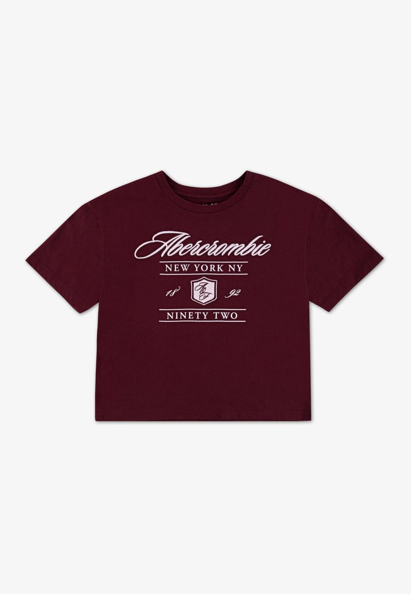 Abercrombie & Fitch CREST BOXY TEE - T-Shirt print - fig