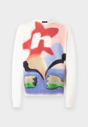 SOFT FOCUS CREW NECK SWEATER UNISEX - Pulover - multi coloured