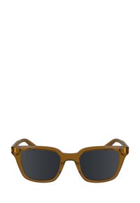 Ochelari de soare transparenți de culoare maronie, cu lentile pătrate, lentile întunecate și brațe elegante cu un branding subtil pe laturile acestora.