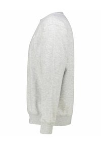 Lichtgrijze sweatshirt met een klassieke ronde hals, ribgebreide manchetten en zoom. Gemaakt van een zachte katoenmengsel met een gladde textuur.