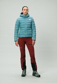 The North Face W ACONCAGUA 3 HOODIE - Dunjakke - algae blue