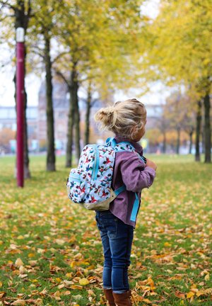 BIRDS - RUCKSACK XS - KINDERRUCKSACK - Rugzak - blau