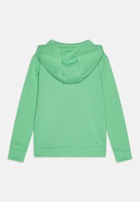 Hoodie en coton vert vu de dos, avec une capuche à cordon, des manches longues et des bords côtelés à l'ourlet et aux manches.