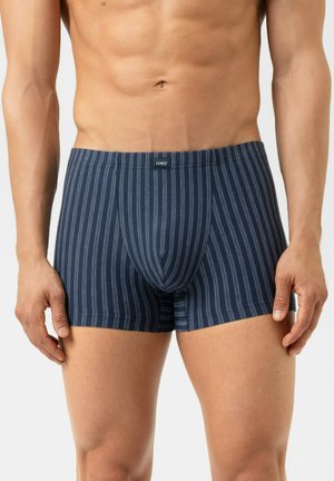 Mannelijk torso met blauwe en donkergrijze boxershorts met verticale strepen, staande met ontspannen armen langs het lichaam.