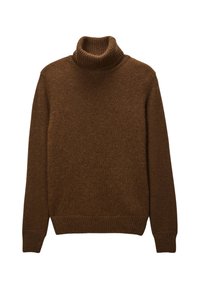 Pull à col roulé marron en tissu doux, doté d'un col et de poignets côtelés, avec une coupe décontractée et une surface légèrement texturée.