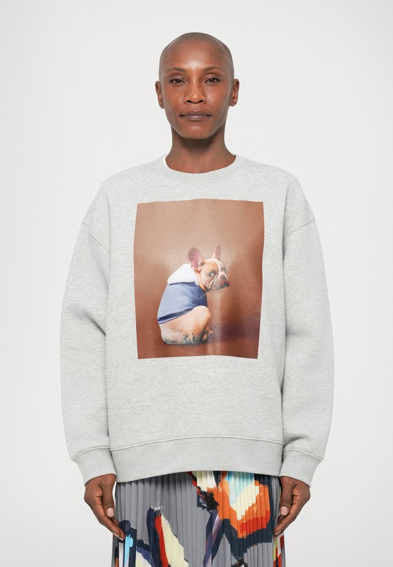 Sivá mikina s veľkým potlačou psa, na ktorej je francúzsky buldoček v modrom mikinovom oblečení. Sňaté manžety a lem s uvoľneným strihom.