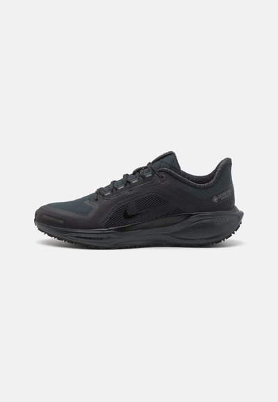 Nike Performance PEGASUS 41 GTX