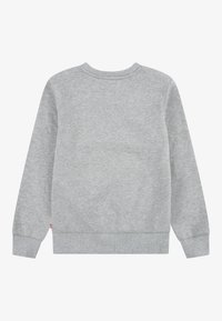 Grå hettegenser, rund hals, laget av en bomullsblanding. Har ribbestrikkede mansjetter og nederkant. Enkelt bak med ingen logoer eller mønstre.