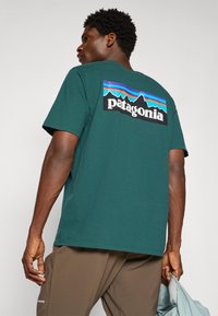 Tricou verde din bumbac, cu mâneci scurte, având o grafică mare cu munte și logo-ul "Patagonia" imprimat în alb pe spate.