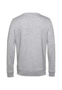 Grauer Sweatshirt mit langen Ärmeln, Rundhalsausschnitt sowie gerippten Bündchen und Saum. Der Stoff wirkt weich und hat eine glatte Textur.