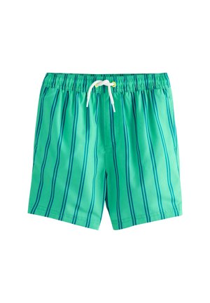 Green swim shorts with vertical blue stripes, elastic waistband, and a white drawstring. Made of lightweight, quick-drying material.