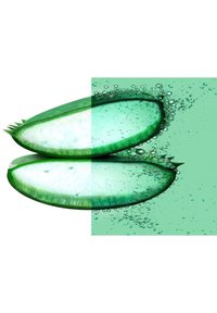 Due fette di gel di aloe vera verdi, traslucide e dalla consistenza liscia, posizionate su uno sfondo verde chiaro con bolle fluttuanti.