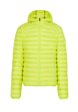 NICO - Doudoune - vert