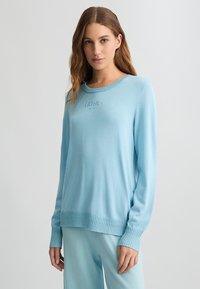 Maglione azzurro chiaro con orlo e polsini a costine, con una leggera texture. Presenta un logo ricamato sul petto, maniche lunghe e scollatura rotonda.